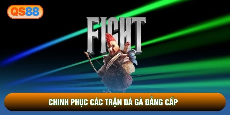 Chinh phục các trận đá gà đẳng cấp