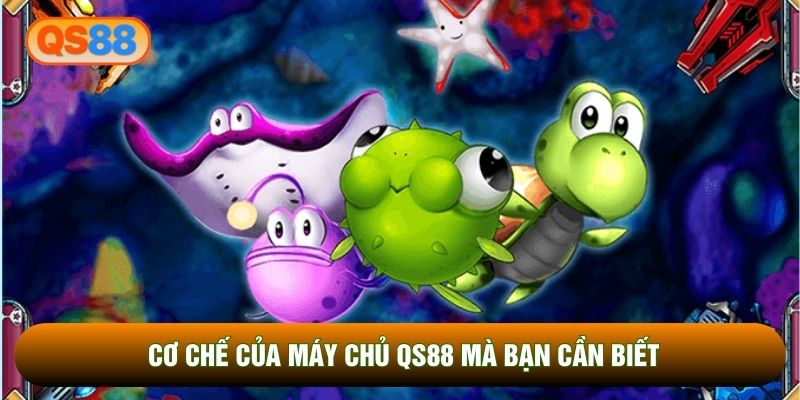 Cơ chế của máy chủ QS88 mà bạn cần biết Cơ chế của máy chủ QS88 mà bạn cần biết