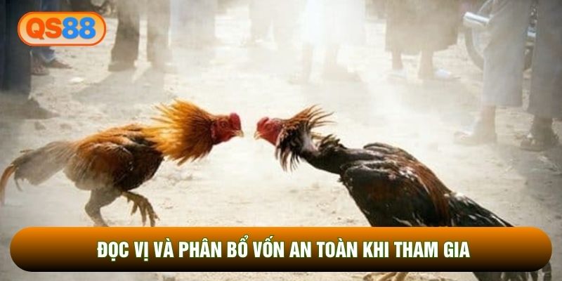 Đọc vị và phân bổ vốn an toàn khi tham gia