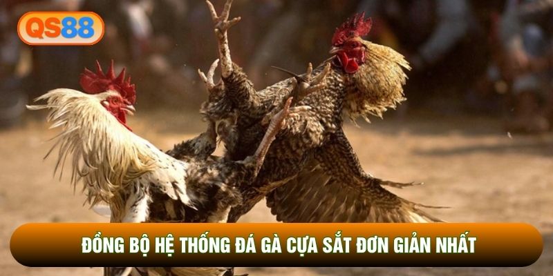 Đồng bộ hệ thống đá gà cựa sắt đơn giản nhất