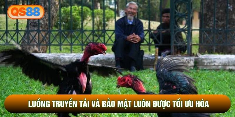 Luồng truyền tải và bảo mật luôn được tối ưu hóa Luồng truyền tải và bảo mật luôn được tối ưu hóa
