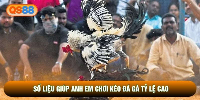 Số liệu giúp anh em chơi kèo đá gà tỷ lệ cao Số liệu giúp anh em chơi kèo đá gà tỷ lệ cao